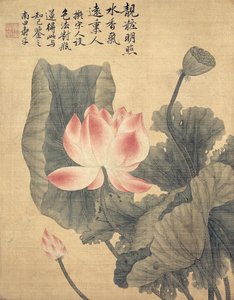 Peonies by Shouping Yun
